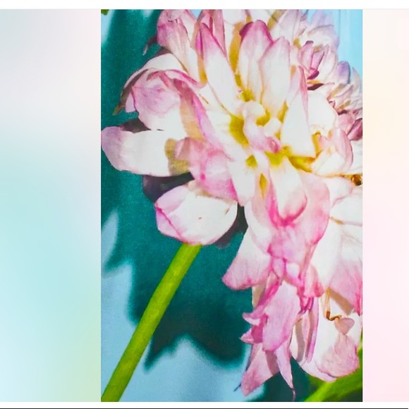 Anthropologie New Asymmetrical Silk Dress Blue 4. - Picture 6 of 15